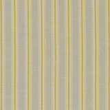 Clarke & Clarke THORNWICK CITRUS Fabric