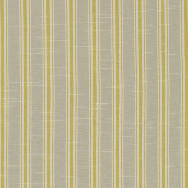 Clarke & Clarke THORNWICK CITRUS Fabric