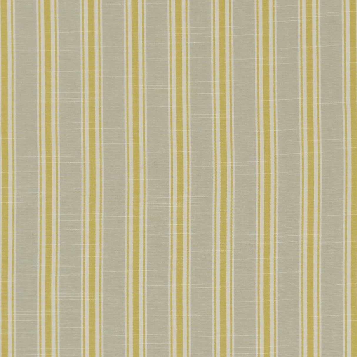 Clarke & Clarke THORNWICK CITRUS Fabric