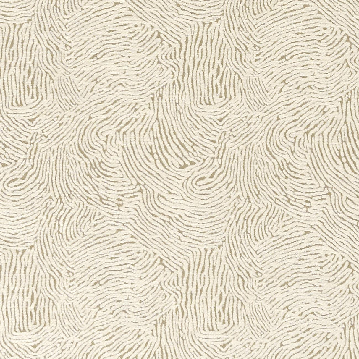 Clarke & Clarke LEVANTE IVORY Fabric