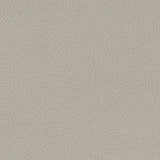 Clarke & Clarke MASON IVORY Fabric
