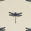 Clarke & Clarke AZURE AQUA Fabric