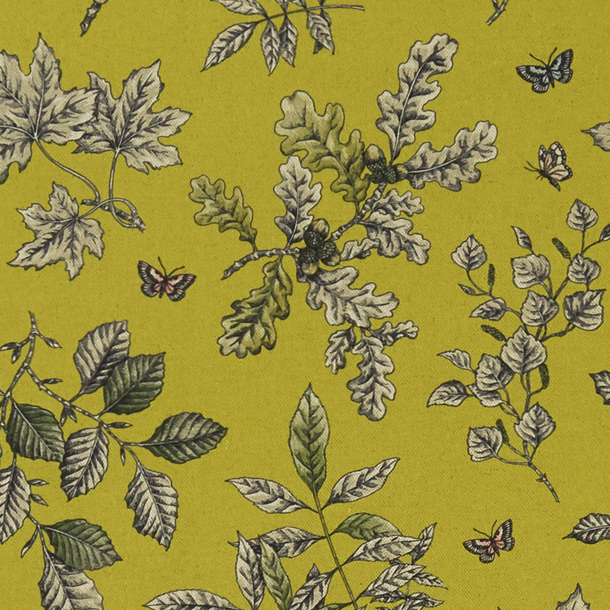 Clarke & Clarke HORTUS CHARTREUSE Fabric