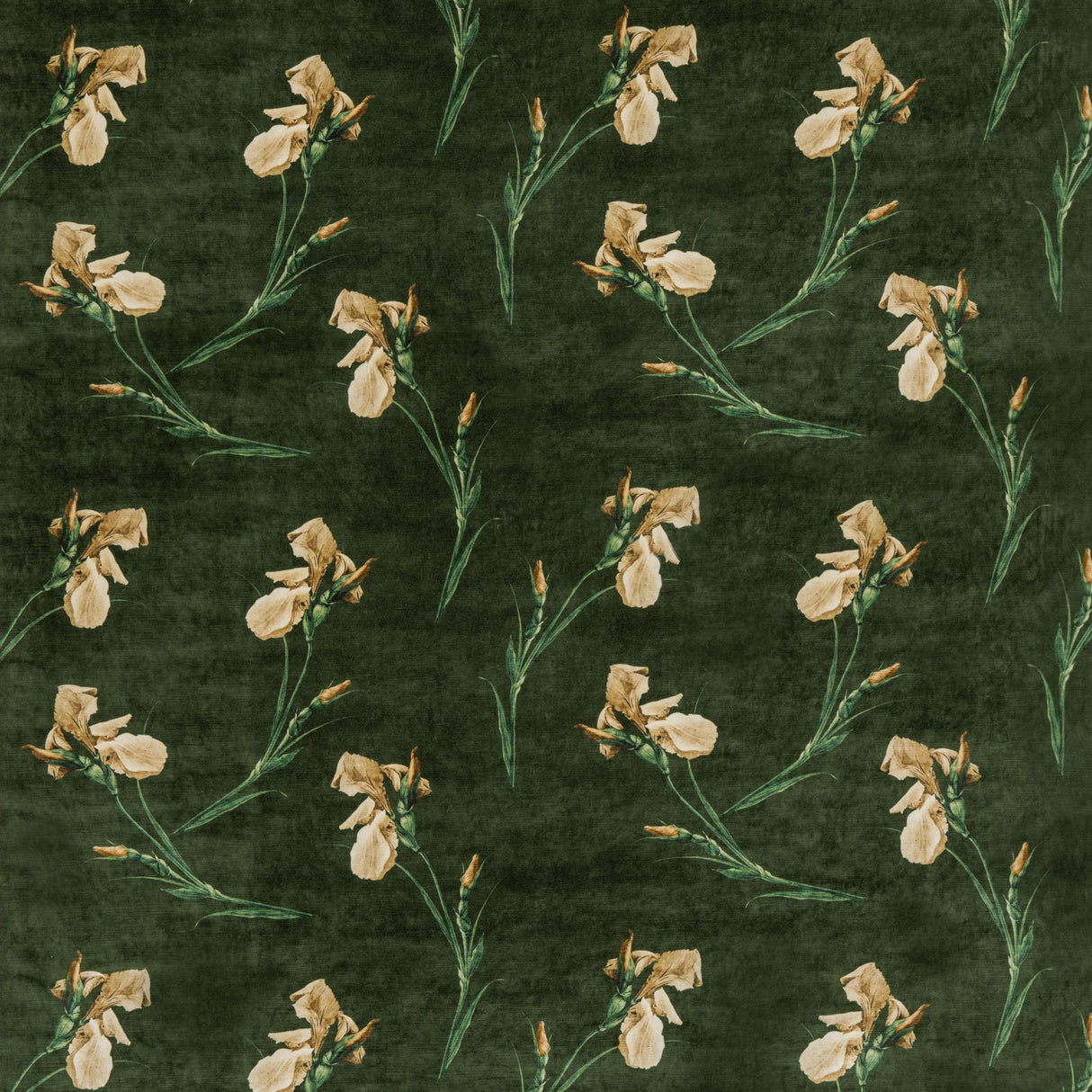 G P & J Baker BAKER IRIS EMERALD Fabric