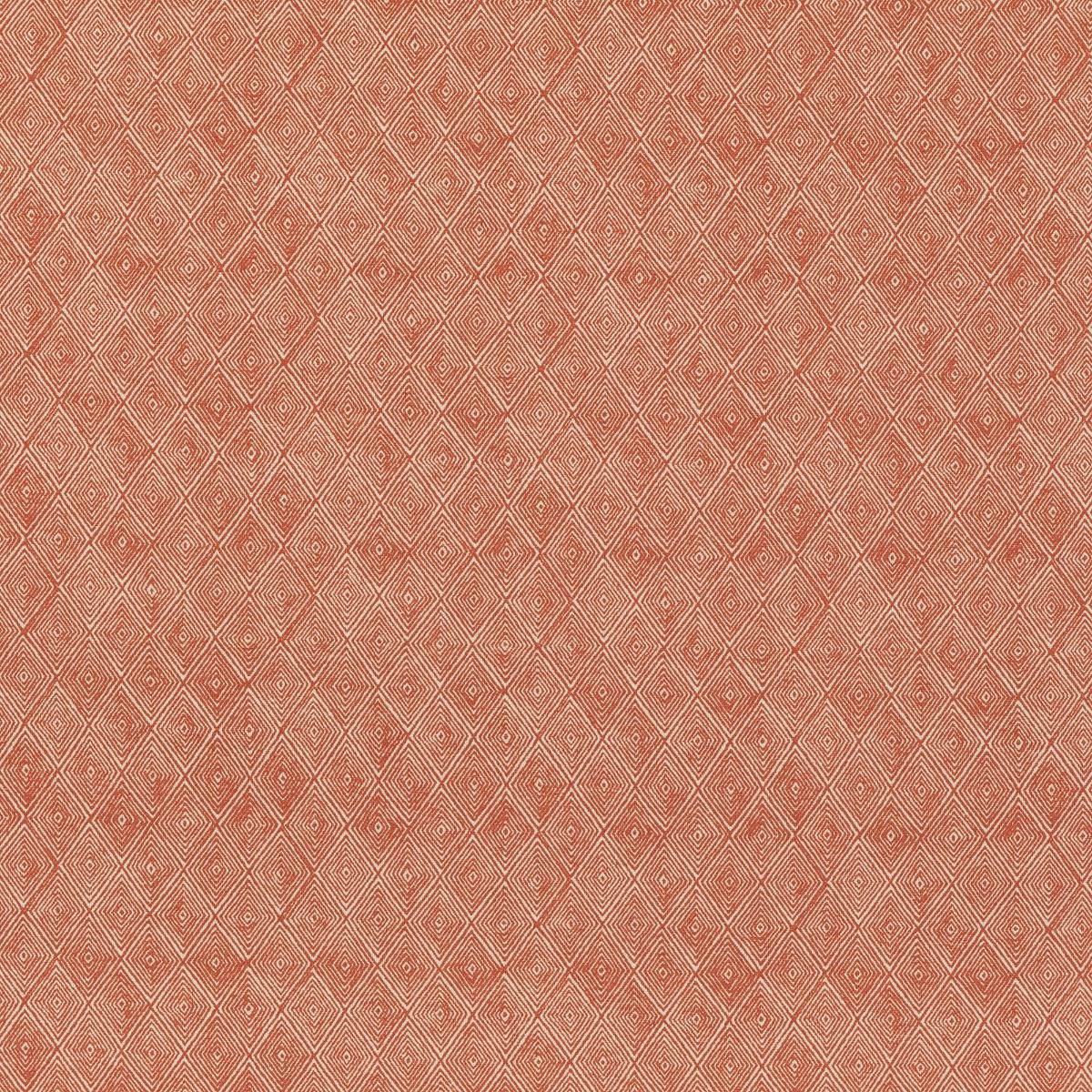 Threads BOUNDARY SPICE Fabric