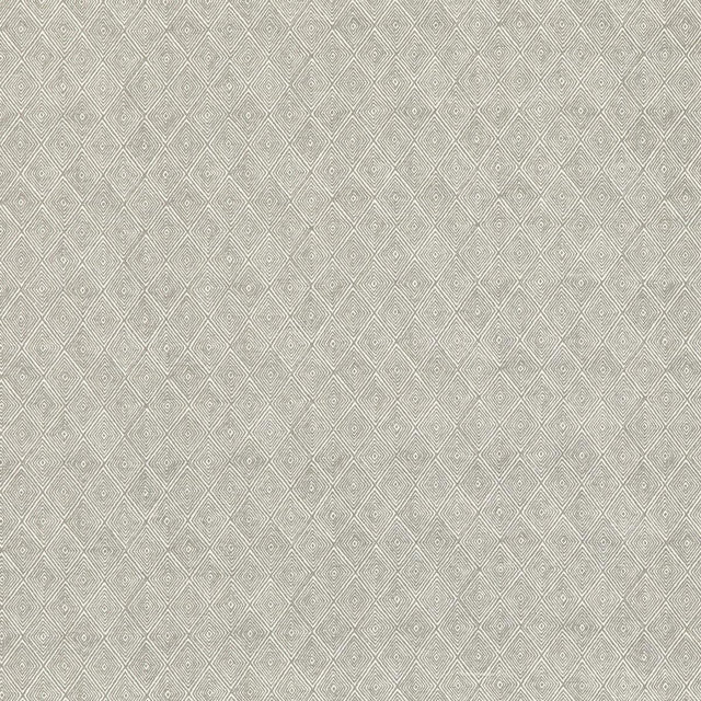 Threads BOUNDARY DOVE Fabric