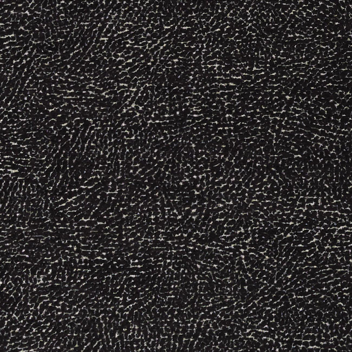 Clarke & Clarke MASON NOIR Fabric