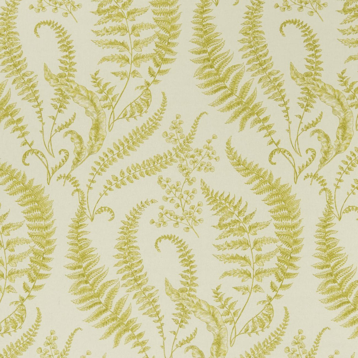 Clarke & Clarke FOLIUM CHARTREUSE Fabric