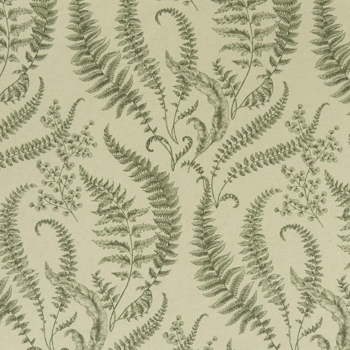Clarke & Clarke FOLIUM FOREST Fabric