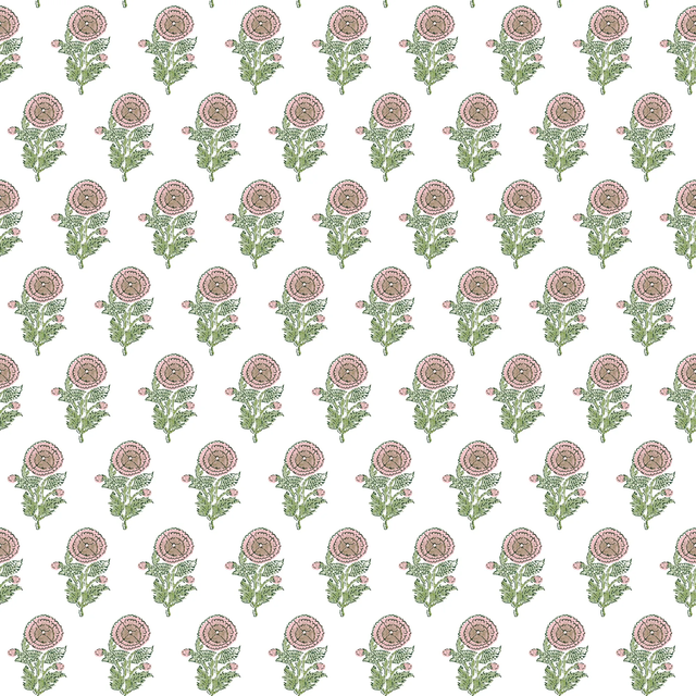 Gaston Y Daniela PLASENCIA WP ROSA Wallpaper