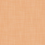 Gaston Y Daniela MAHON CALABAZA Wallpaper