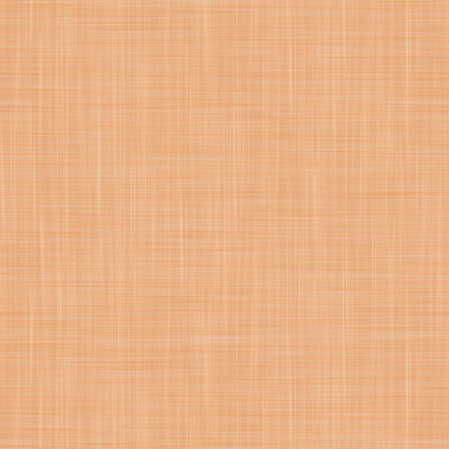 Gaston Y Daniela MAHON CALABAZA Wallpaper