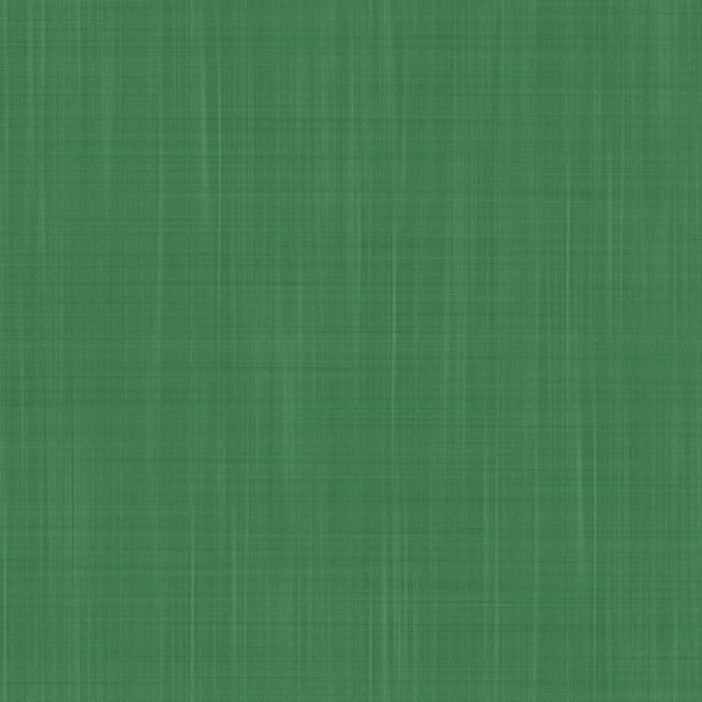 Gaston Y Daniela MAHON VERDE Wallpaper