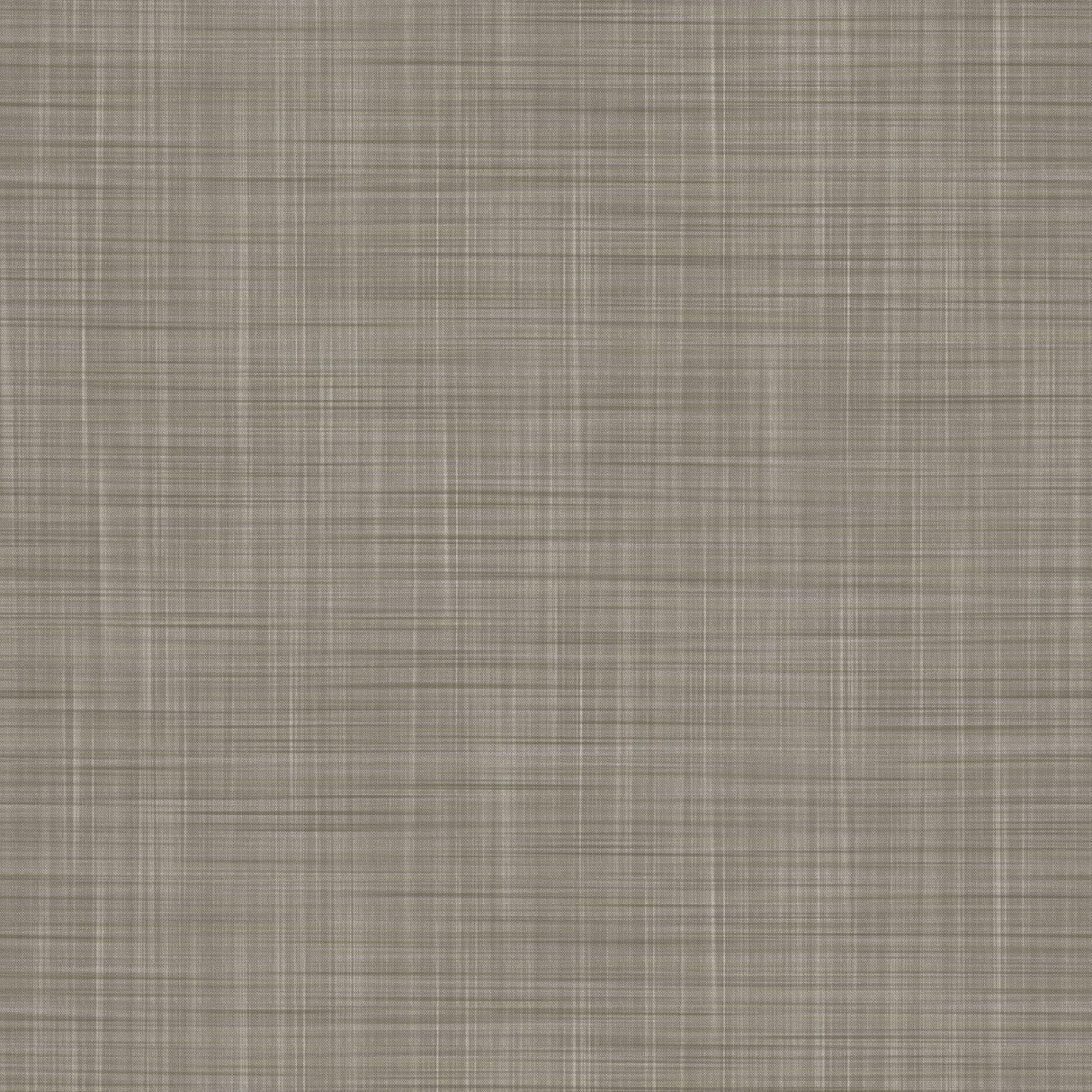 Gaston Y Daniela MAHON GRIS Wallpaper