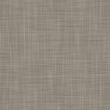 Gaston Y Daniela MAHON GRIS Wallpaper