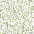 Schumacher Solandra Vine Leaf Wallpaper
