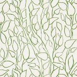 Schumacher Solandra Vine Leaf Wallpaper