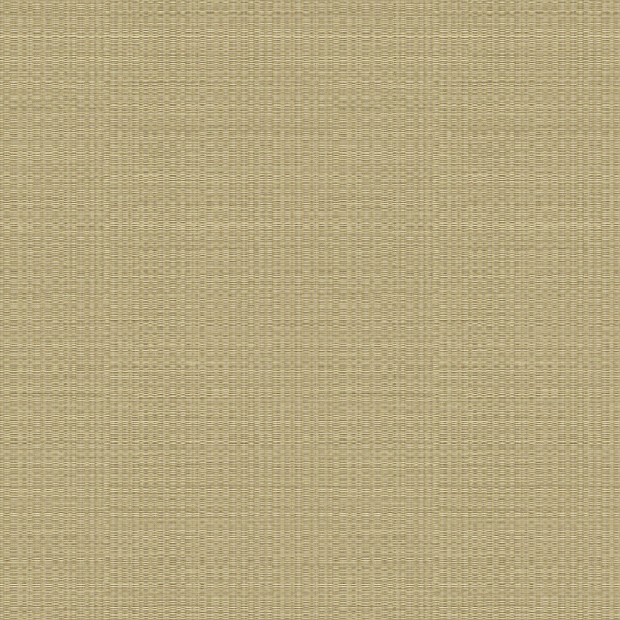 JF Fabrics 5146 Tan/Gold/Cream/Light Blue (38) Wallpaper