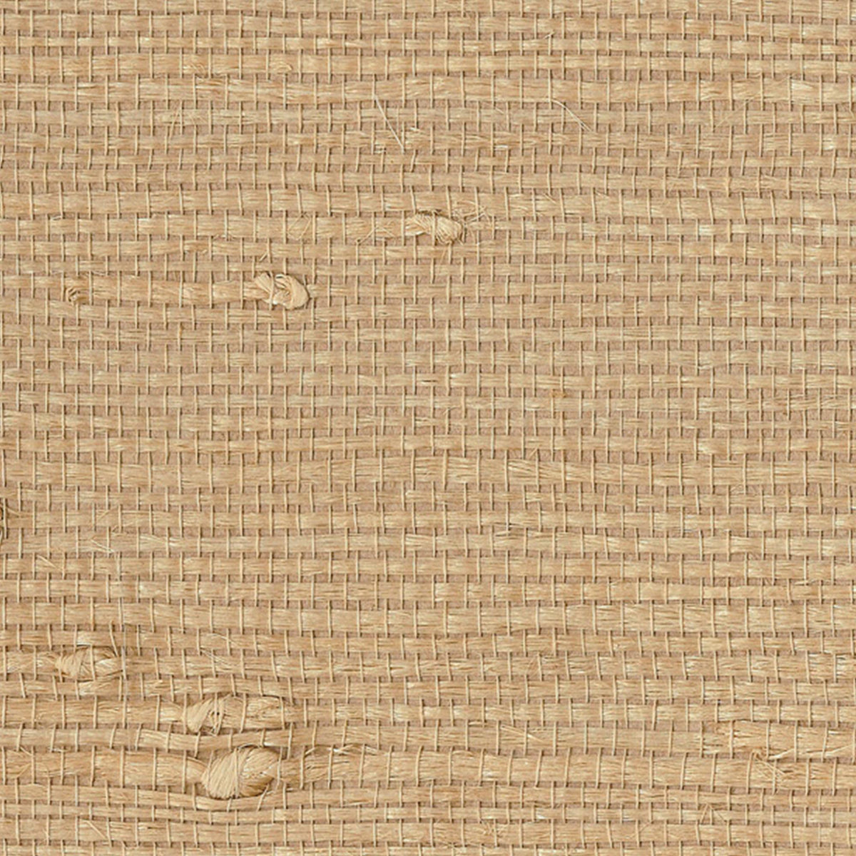 JF Fabrics 52047 Brown/Creme/Beige (32) Wallpaper