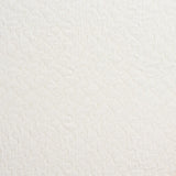 Schumacher La Belle Matelass Ivory Fabric