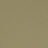 Schumacher Elliott Brushed Cotton Jute Fabric