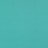 Schumacher Elliott Brushed Cotton Aqua Fabric