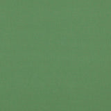Schumacher Elliott Brushed Cotton Pesto Fabric