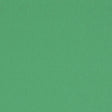 Schumacher Elliott Brushed Cotton Leaf Fabric