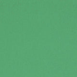 Schumacher Elliott Brushed Cotton Leaf Fabric