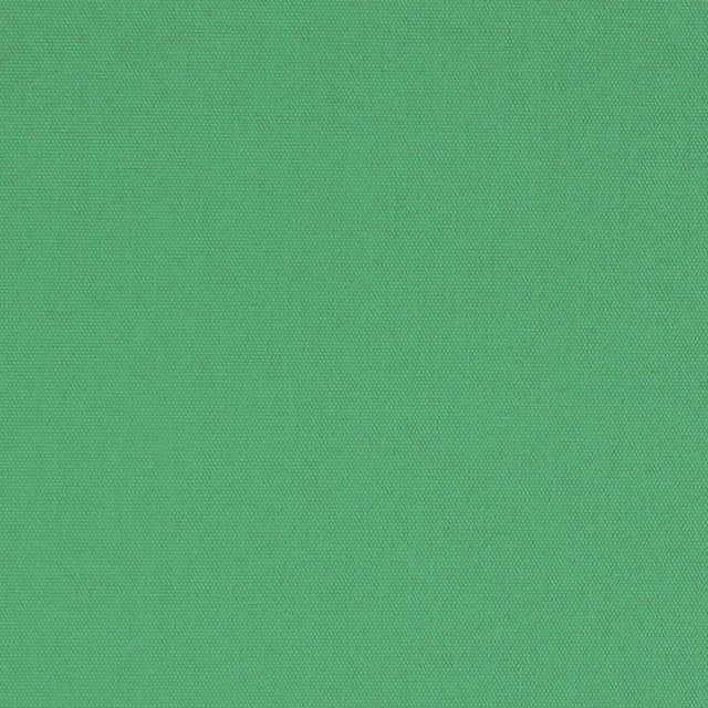 Schumacher Elliott Brushed Cotton Leaf Fabric