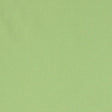 Schumacher Elliott Brushed Cotton Lime Fabric