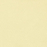 Schumacher Blake Polished Cotton Chiffon Fabric