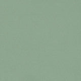 Schumacher Blake Polished Cotton Sage Fabric