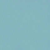 Schumacher Blake Polished Cotton Lagoon Fabric