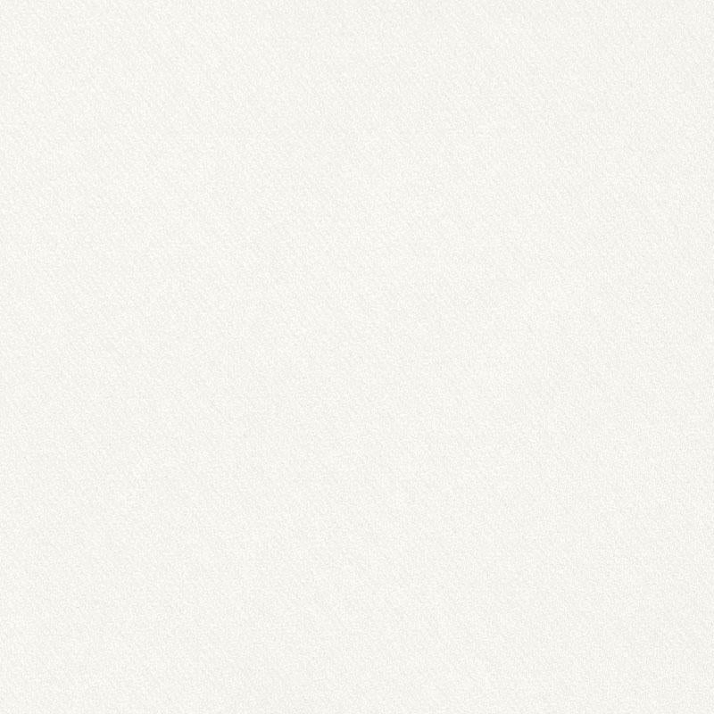 Schumacher Blake Polished Cotton Cloud Fabric