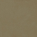 Schumacher Blake Polished Cotton Nutmeg Fabric