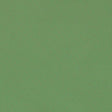 Schumacher Blake Polished Cotton Oregano Fabric