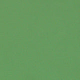 Schumacher Blake Polished Cotton Grass Fabric