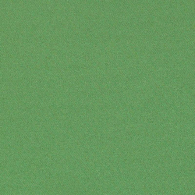 Schumacher Blake Polished Cotton Grass Fabric