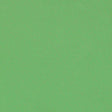 Schumacher Blake Polished Cotton Kiwi Fabric