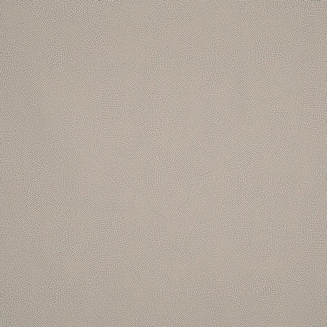 Schumacher Constellation Indoor/Outdoor Shell Fabric