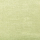 Kravet Venetian Lime Fabric