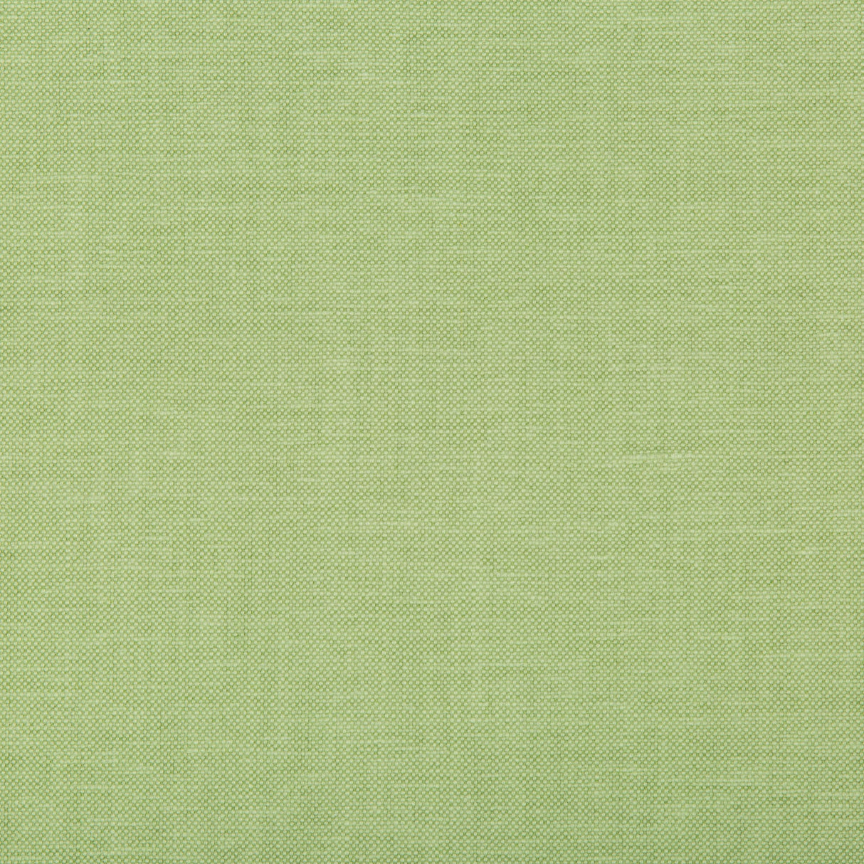 Kravet OXFORDIAN LEAF Fabric