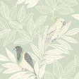 Seabrook Paradise Island Birds Mint and Ivory Wallpaper