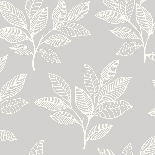 Seabrook Paradise Leaves Daydream Gray Wallpaper