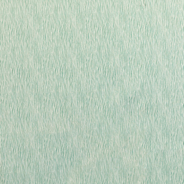 Kravet STRINGER SPA Upholstery Fabric