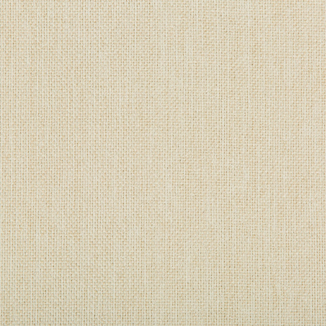 Kravet WILLIAMS SEA SALT Upholstery Fabric