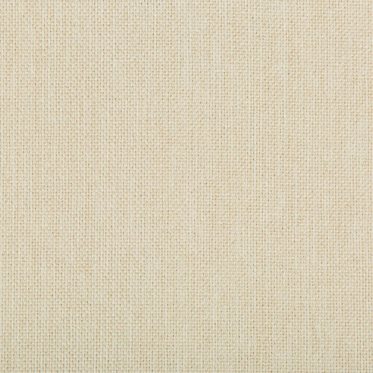 Kravet WILLIAMS SEA SALT Fabric