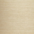 Winfield Thybony PLAIN GROUNDS 0 Wallpaper
