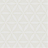 Winfield Thybony BOHEMIAN RHAPSODY KAHKI Wallpaper